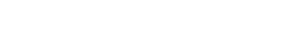 Wallet Max Logo
