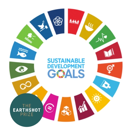 Sustainable Development Goals Logo and The Earthshot Prize Logo