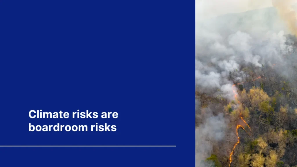 Cover of "Climate risks are boardroom risks" with an image of a wildfire