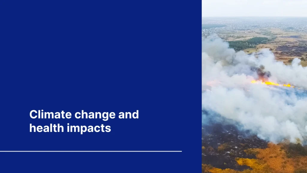 Blog cover of "climate change and health impacts" with smoke from a forest fire