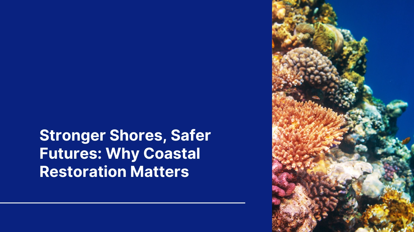 Blog cover of "stronger shores, safer futures: why coastal restoration matters" with a coral reef next to it